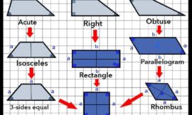 How to find the area of a rectangle