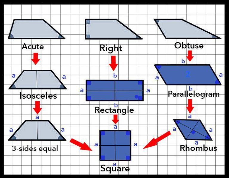 Read more about the article How to find the area of a rectangle
