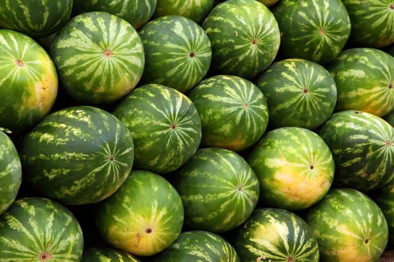 Read more about the article How to find the best watermelon in the supermarket