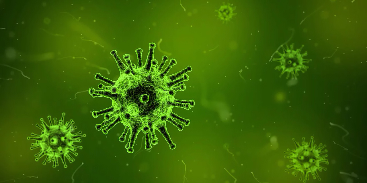 About The Wuhan Coronavirus