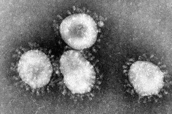 Read more about the article About The Wuhan Coronavirus